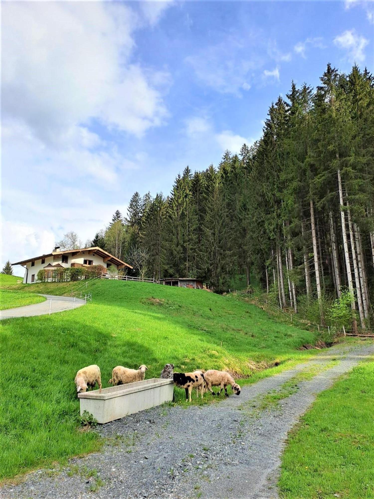 Ferienhaus Hansl Prama Exterior foto